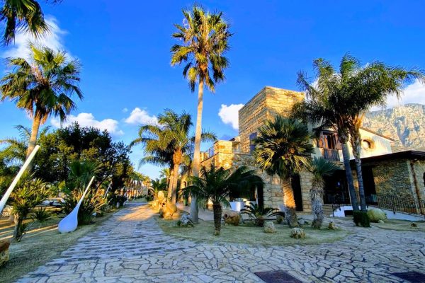 44a00019-9266-4c0a-b8d3-c462725987e9